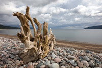 Worn Shore